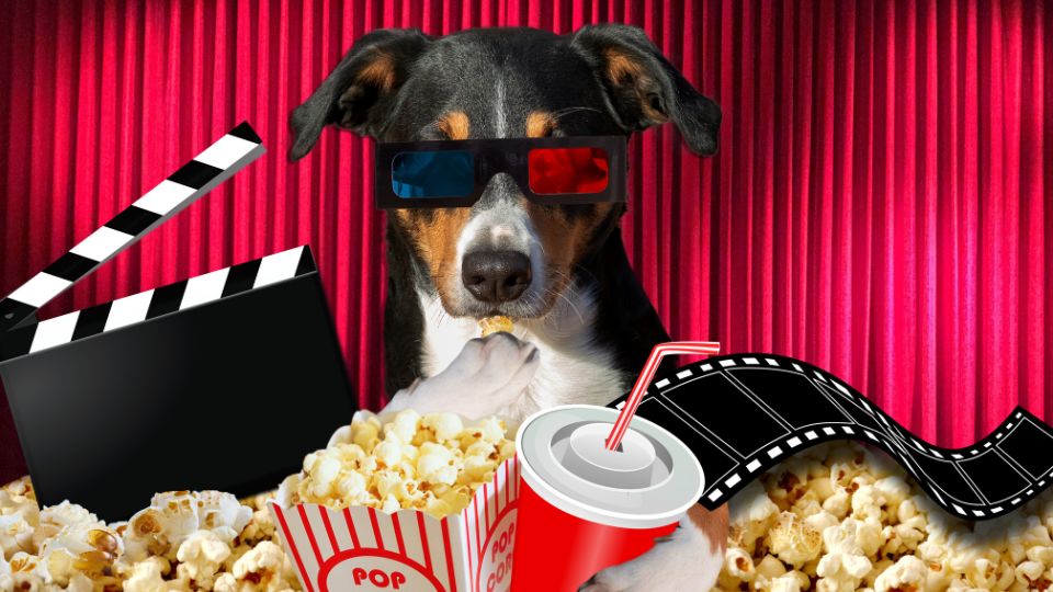 kisállatok filmekben
