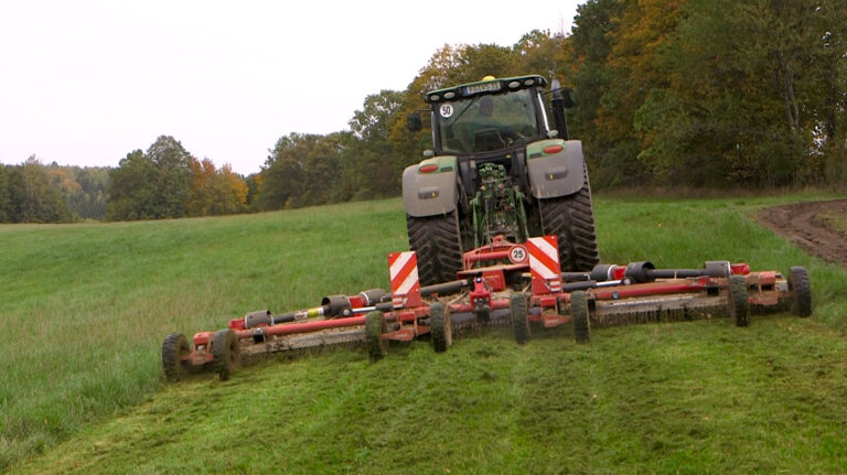 Túl a fűnyíráson: 7 innovatív tipp, amire nem gondoltál a mulcsozóval kapcsolatban